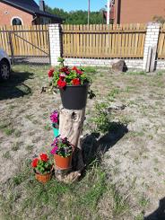 Міні-готель