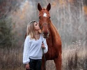 Продам коника